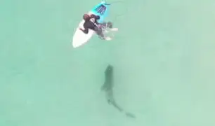 Australia: surfista se baja de tabla y asusta a un tiburón