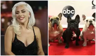 Lady Gaga recupera sus perros ‘Koji’ y ‘Gustav’ y dará millonaria recompensa a mujer