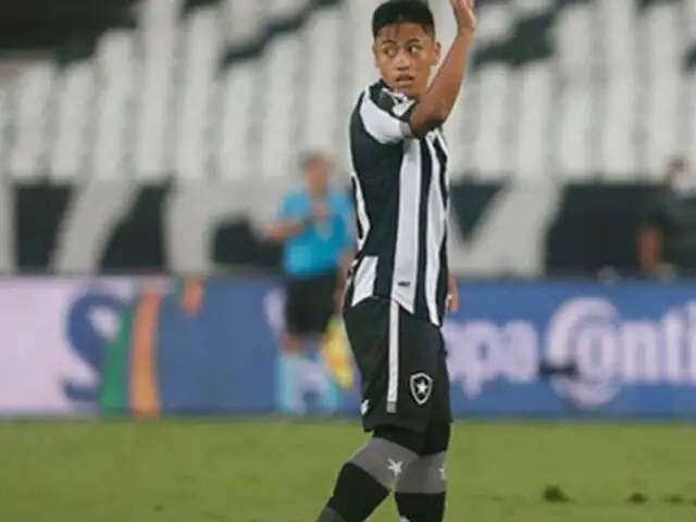 Botafogo de Alexander Lecaros perdió la categoría en Brasil