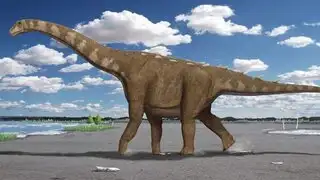 Argentina: hallan el titanosaurio más antiguo del mundo