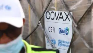 Covax Facility: Mayoría de vacunas llegará durante segundo  semestre