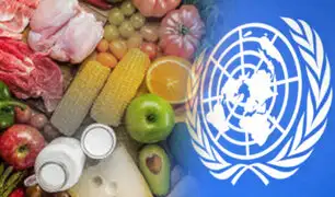 ONU alerta de que se desperdicia el 17% de todos los alimentos en el mundo