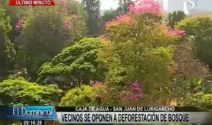 SJL: vecinos se oponen a deforestación de bosque para construcción de viviendas