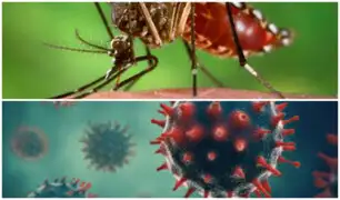 Dengue y COVID-19: aprenda a distinguir los síntomas