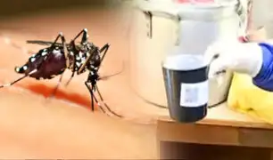 Municipalidad de Ventanilla realiza acciones para evitar casos de dengue