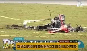 Uruguay: helicóptero militar pierde 300 vacunas Pfizer en accidente