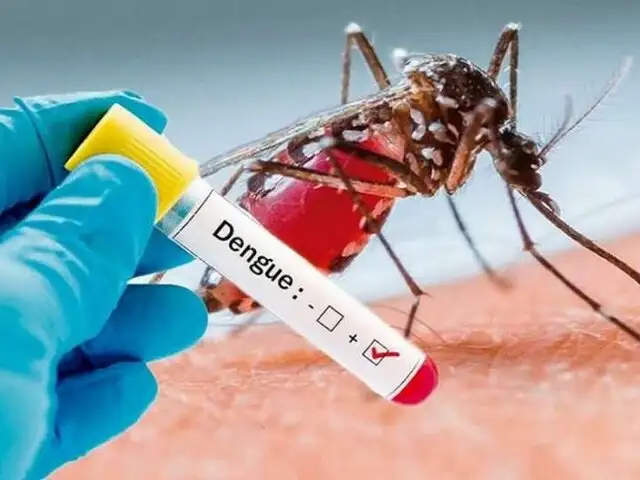 Minsa lanza alerta epidemiológica por Dengue: muertos llegan a 75 y los casos se elevan a 58 000