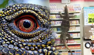 Tailandia: lagarto gigante se cuela en un supermercado y siembra caos entre clientes