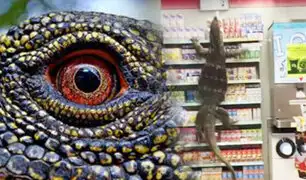 Tailandia: lagarto gigante se cuela en un supermercado y siembra caos entre clientes