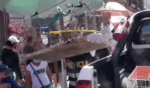 [VIDEO] Mesa Redonda: rescatan más de 100 animales que iban a ser vendidos ilegalmente