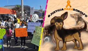 Cientos de mexicanos marchan exigiendo  justicia por perrito asesinado a machetazos