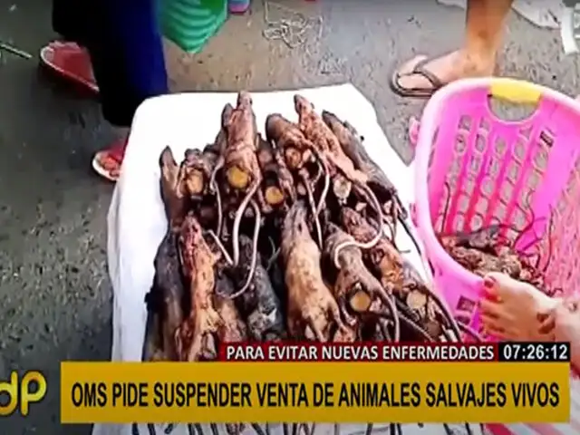 OMS recomendó evitar la venta de animales salvajes vivos en mercados por prevención