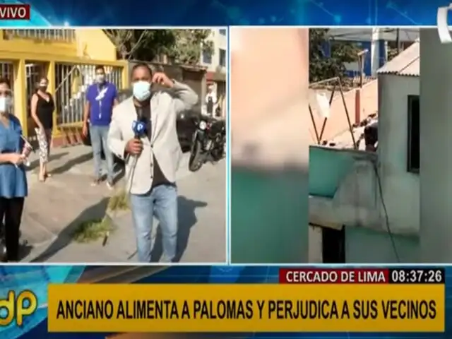 Cercado de Lima: anciano alimenta a palomas y perjudica a vecinos