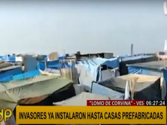 Lomo de Corvina: instalan carpas y casas prefabricadas en terreno invadido