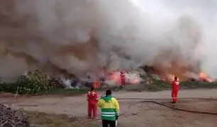 Alarma en Áncash: incendio forestal consume más de 30 hectáreas de pastizales