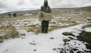 Decenas de alpacas y ovinos han muerto a causa de las heladas en Pasco
