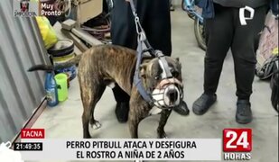 Tacna: perro pitbull ataca a niña de 2 años y familia pide que sea trasladada a Lima