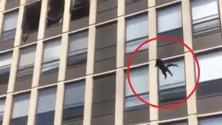 VIDEO: gato salta del quinto piso de un edificio en llamas