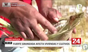 Huancavelica: fuerte granizada afectó cultivos