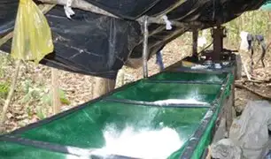 Bolivia: descubren en la selva megalaboratorio que producía unos 200 kilos diarios de cocaína