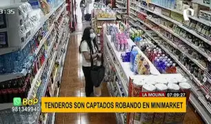 La Molina: cámara de seguridad registra dos robos de tenderas en minimarket
