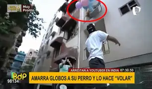 Maltrato animal: ‘youtuber’ amarra a su perro con globos y lo hace volar