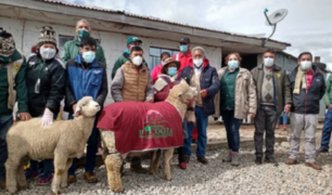 Pasco: Entregan kits veterinarios para proteger 118 mil cabezas de ganado ante heladas