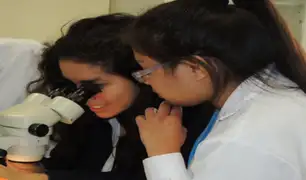 Escolares peruanos ganan primeros puestos en feria internacional de ciencia y tecnología