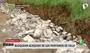 Acequias de Pantanos de Villa en peligro: MML  viene tomando acciones para su cuidado