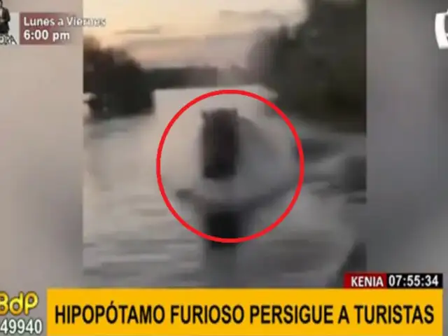 Hipopótamo persigue a toda velocidad a turistas que paseaban en una lancha