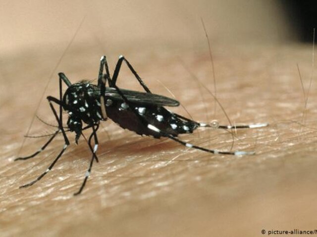 Lambayeque: adulta mayor que decidió automedicarse es la primera fallecida por dengue este año
