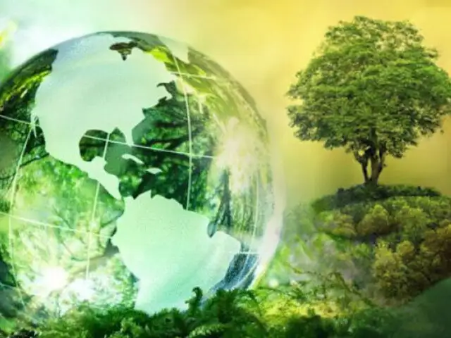 Se celebra el Día Mundial del Medio Ambiente en plena pandemia del COVID-19