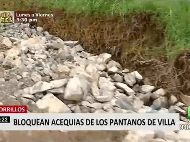 Acequias de Pantanos de Villa en peligro: MML  viene tomando acciones para su cuidado