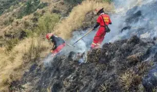 Tras intensas labores controlan incendio forestal que arrasó bosques y pastizales en el  Cusco