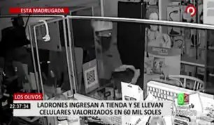 Delincuentes son captados robando en tienda de celulares en Los Olivos