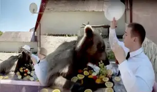 Rusia: temerario barbero se toma un baño junto a oso