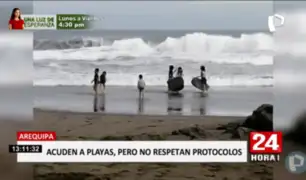Arequipa: acuden en masa a playas de Mollendo, sin respetar medidas contra COVID-19