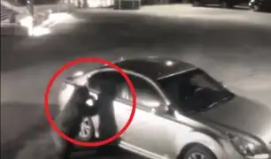 Viral: captan a oso abriendo auto de policía para revisar qué había en su interior