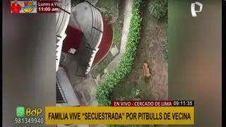 Cercado de Lima: familia vive "secuestrada" por pitbulls de vecina