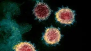 Sudáfrica: Científicos detectan una nueva variante de coronavirus con numerosas mutaciones