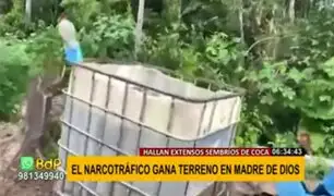 Sembríos ilegales de coca y narcoavionetas invaden Madre de Dios
