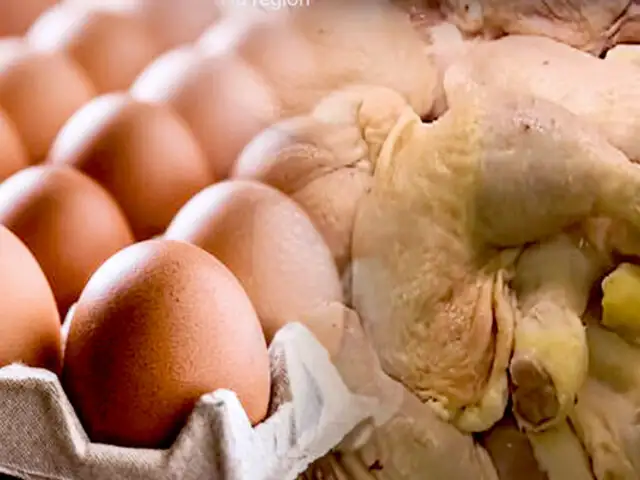 Gripe aviar: descartan riesgo de contagio por consumo de aves o huevos