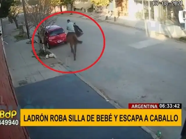 Ladrón escapa a caballo tras robar silla de bebé de un auto