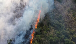 Cusco: nuevo incendio forestal avanza incontenible por los fuertes vientos