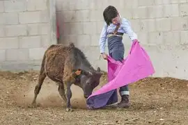 Decisión judicial prohíbe formación de niños toreros en el Perú