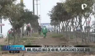 “Árboles para Lima”: Serpar plantó más de dos mil molles costeros en SJM