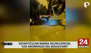 Comas: capturan a 12 delincuente que pertenecían a "Los Anormales del Boulevard"