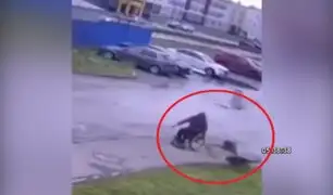 Hombre en silla de ruedas defiende a su cachorro de ataque de perros callejeros
