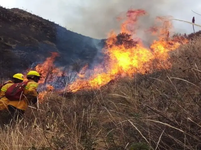Incendio forestal en Cusco: llamas devastaron más de 850 hectáreas de pastizales