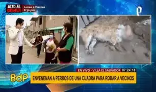 VES: denuncian envenenamiento masivo de perros en toda una calle